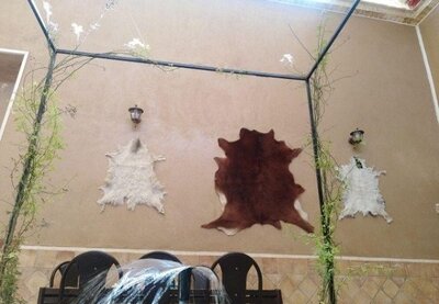 اقامتگاه بومگردی خانه صفا — ۵