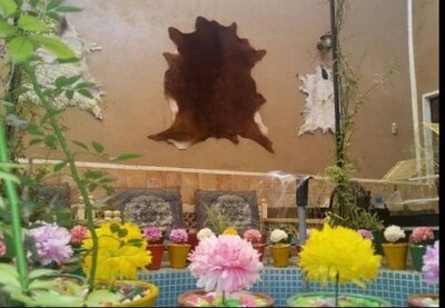 اقامتگاه بومگردی خانه صفا — ۲