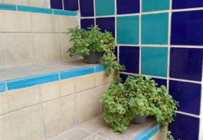 هتل سنتی نیایش شیراز — ۳